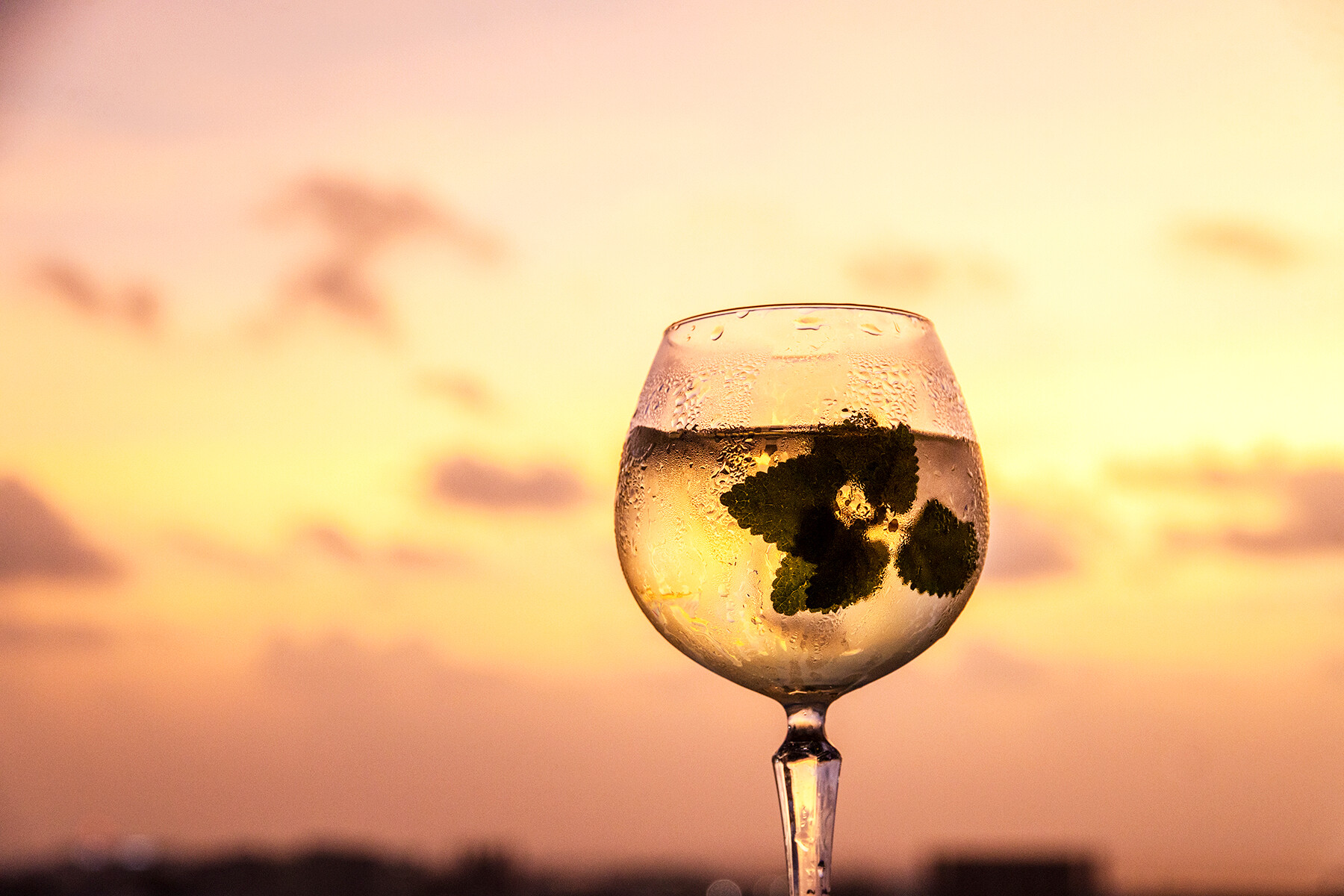 スカイバーオーガストムーン Hotel Sansui Nana 公式サイト最安値